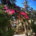Costa De Verano With Swimming Pool In The Center Of Torrevieja