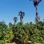 Costa De Verano With Swimming Pool In The Center Of