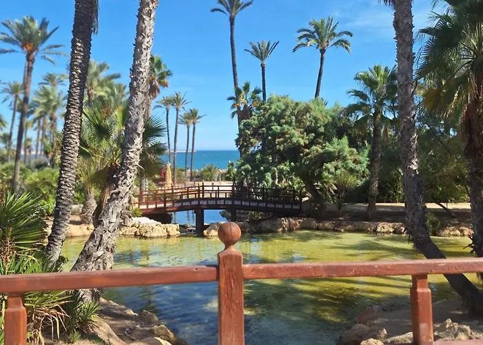 Costa De Verano With Swimming Pool In The Center Of Torrevieja
