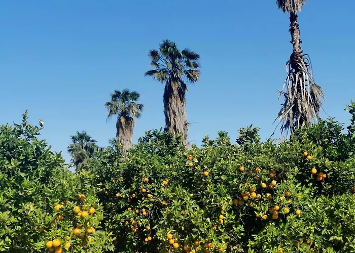 Costa De Verano With Swimming Pool In The Center Of