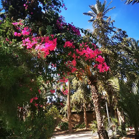 Costa De Verano With Swimming Pool In The Center Of Torrevieja