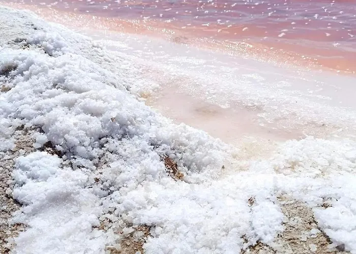 Apartment Costa De Verano With Swimming Pool In The Center Of