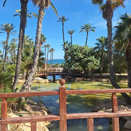 Costa De Verano With Swimming Pool In The Center Of Τορεβιέχα